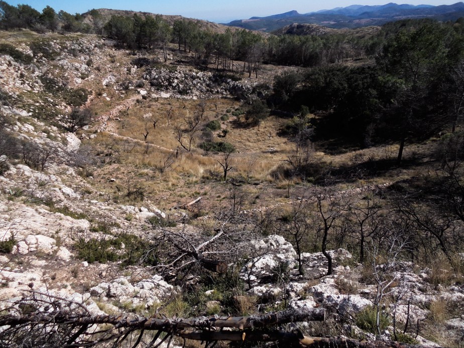 Torca del Clot de Carreres después del incendio de 2012