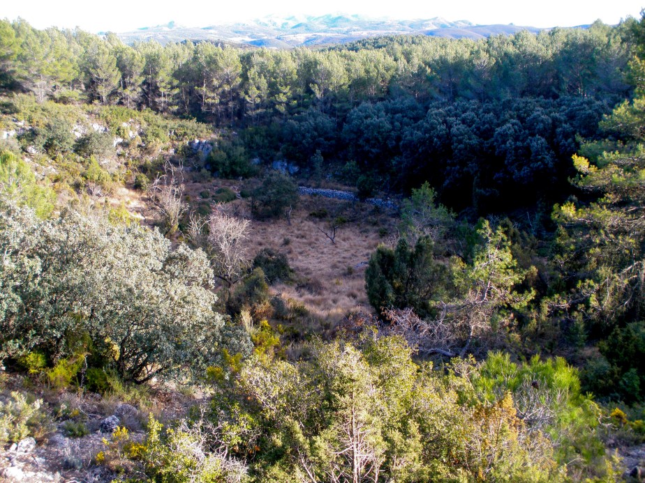 Torca del Clot de Carreres antes del incendio de 2012